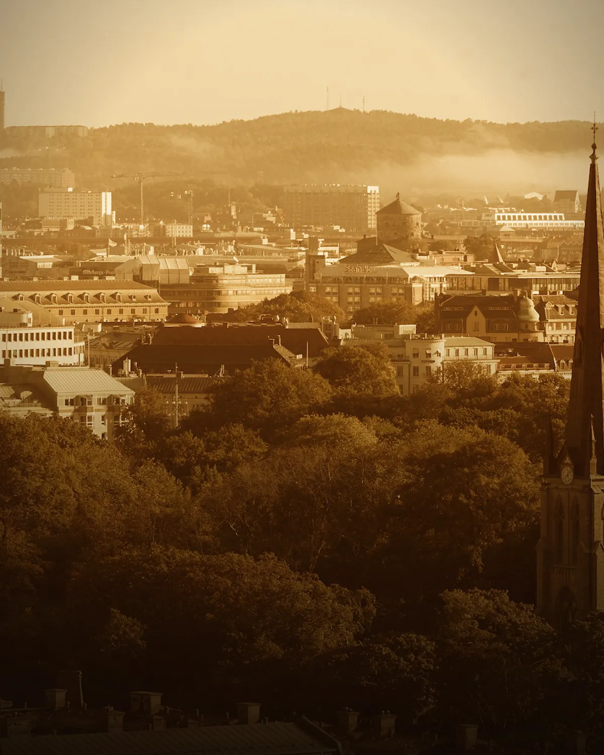 Gothenburg coffee scene