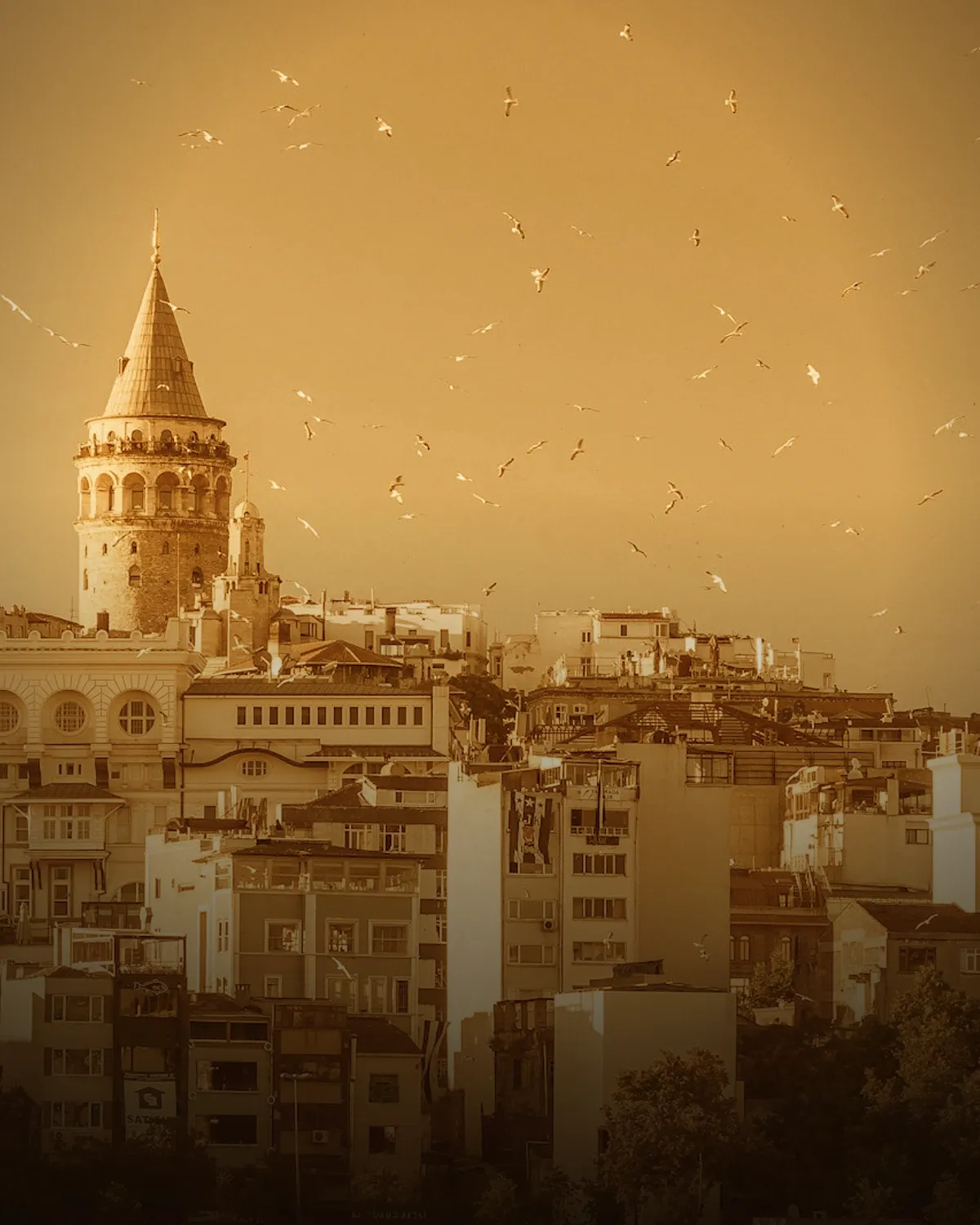 Istanbul coffee scene