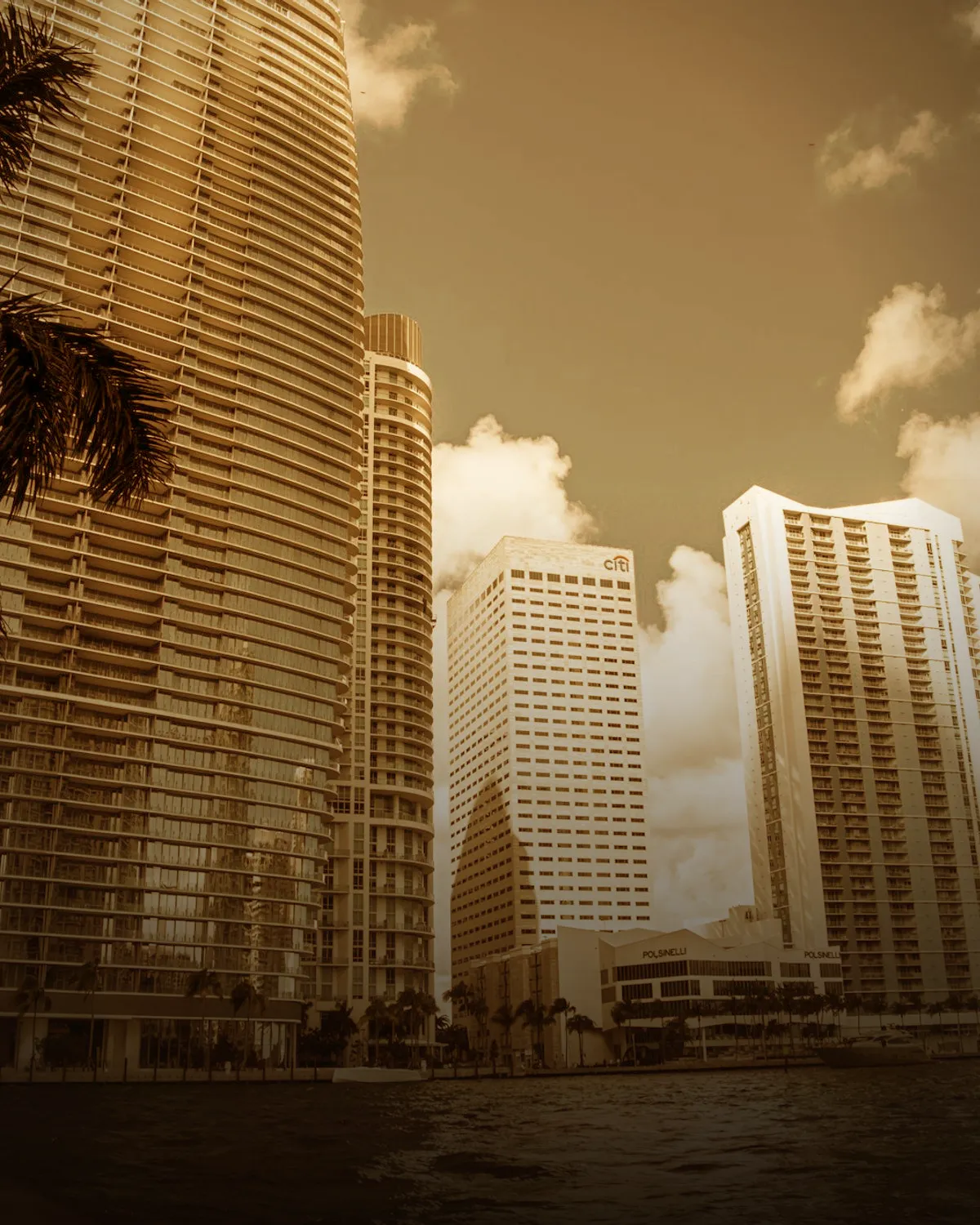 Miami coffee scene